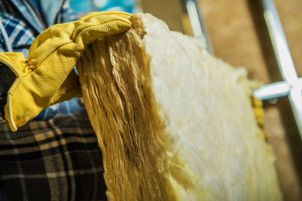 Best Energy-efficient Insulation  in Waterloo, IA